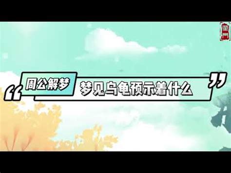 夢見烏龜號碼|【夢見烏龜號碼】解夢必備！夢見烏龜藏著這些數字玄。